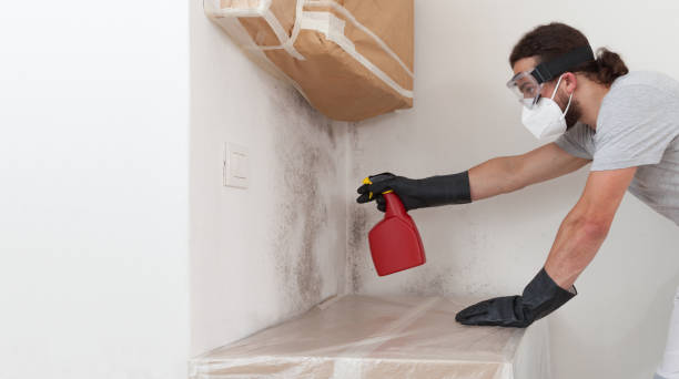 Professional Bathroom Mold Removal technician working in Caledonia, MI