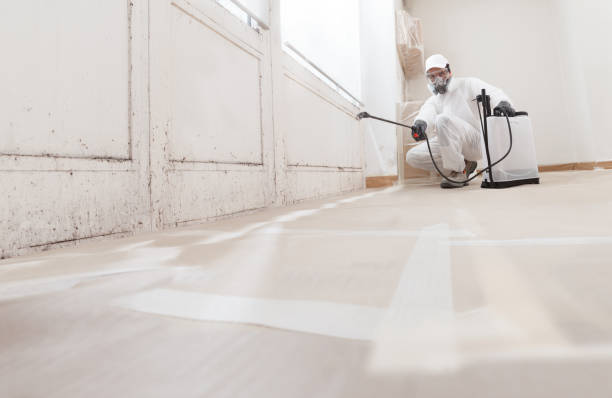 24/7 Emergency Bathroom Mold Removal experts in Caledonia, MI
